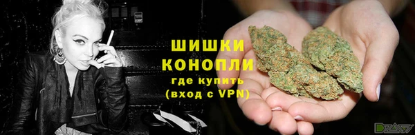 PSILOCYBIN Вязники