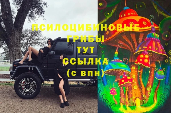эйфоретик Вязьма