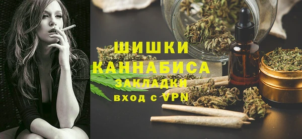 PSILOCYBIN Вязники